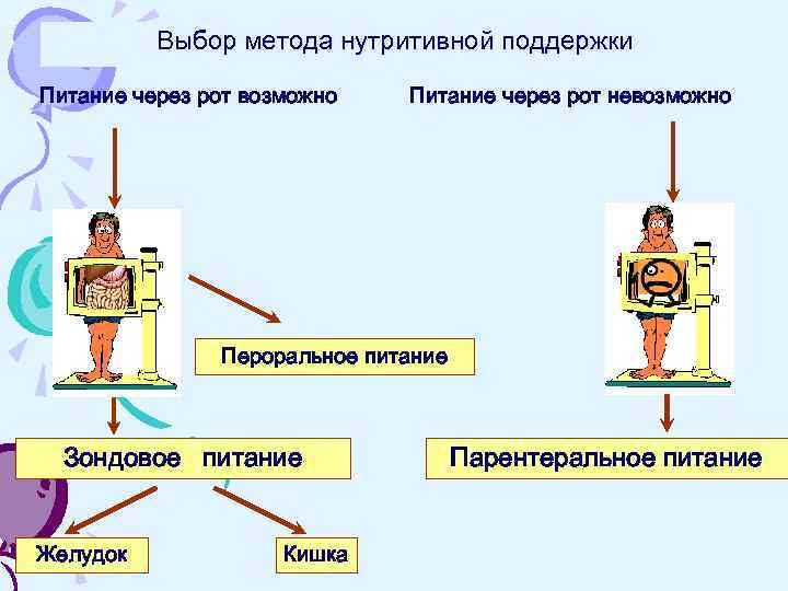 Выбор метода нутритивной поддержки Питание через рот возможно Питание через рот невозможно Пероральное питание