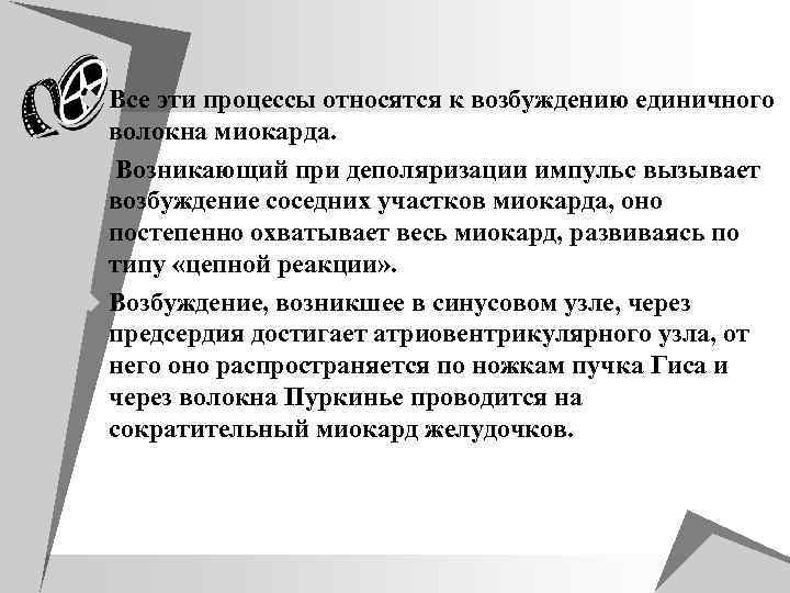 u Все эти процессы относятся к возбуждению единичного волокна миокарда. u Возникающий при деполяризации