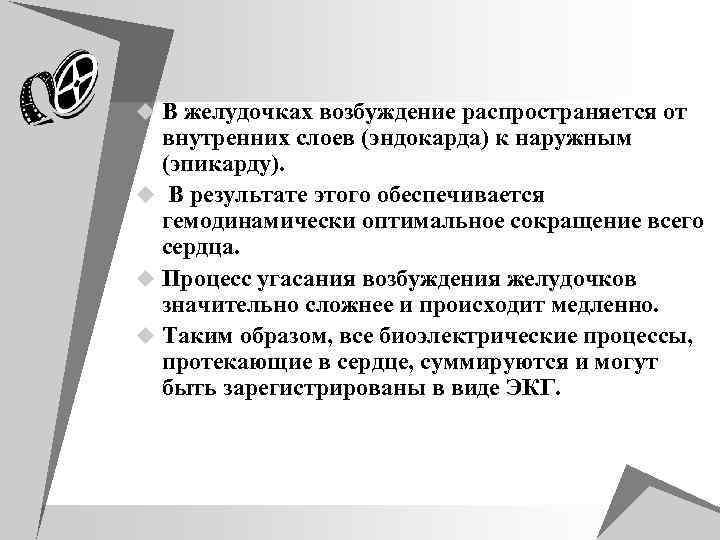 u В желудочках возбуждение распространяется от внутренних слоев (эндокарда) к наружным (эпикарду). u В