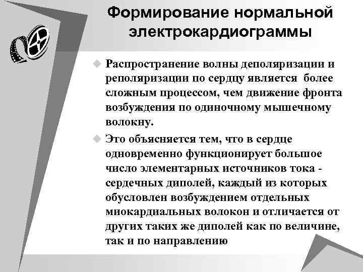 Формирование нормальной электрокардиограммы u Распространение волны деполяризации и реполяризации по сердцу является более сложным