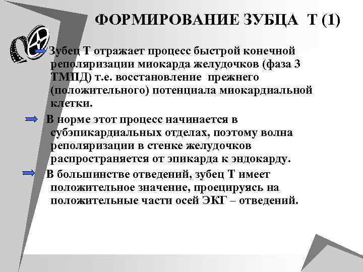 ФOРМИРOВАНИЕ ЗУБЦА T (1) Зубец Т отражает процесс быстрой конечной реполяризации миокарда желудочков (фаза