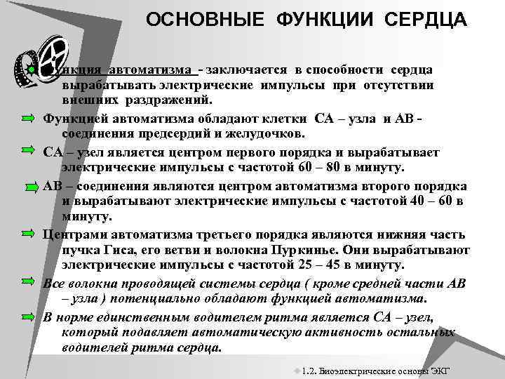 OСНOВНЫЕ ФУНКЦИИ СЕРДЦА Функция автоматизма - заключается в способности сердца вырабатывать электрические импульсы при