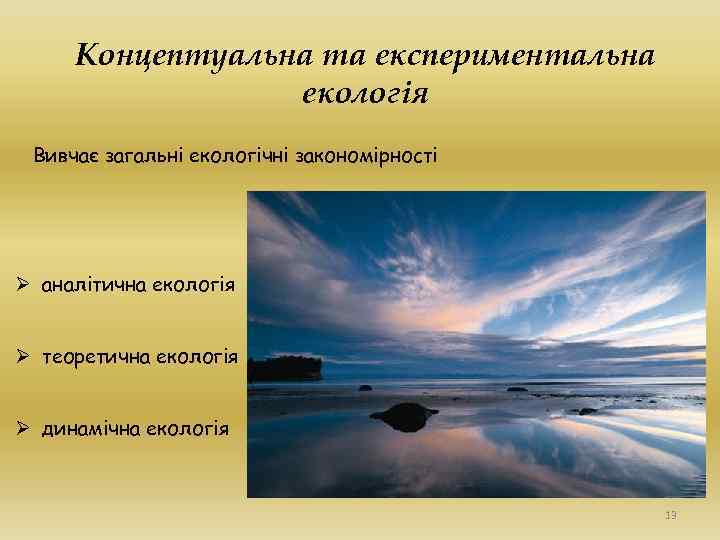 Концептуальна та експериментальна екологія Вивчає загальні екологічні закономірності Ø аналітична екологія Ø теоретична екологія