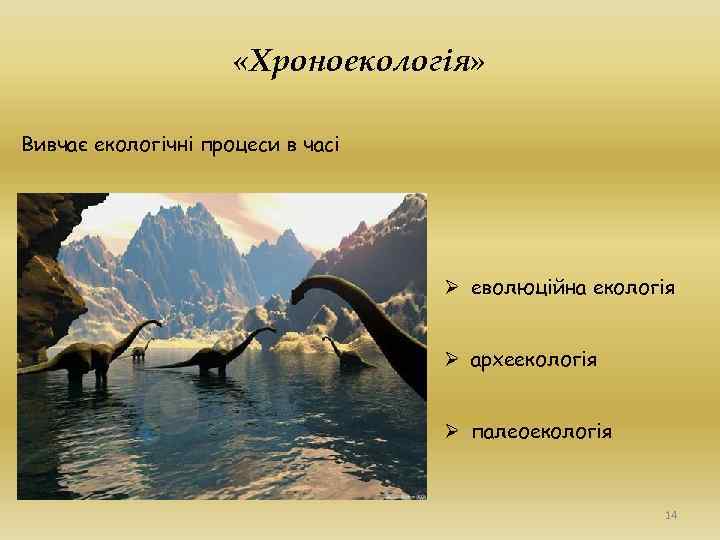  «Хроноекологія» Вивчає екологічні процеси в часі Ø еволюційна екологія Ø археекологія Ø палеоекологія