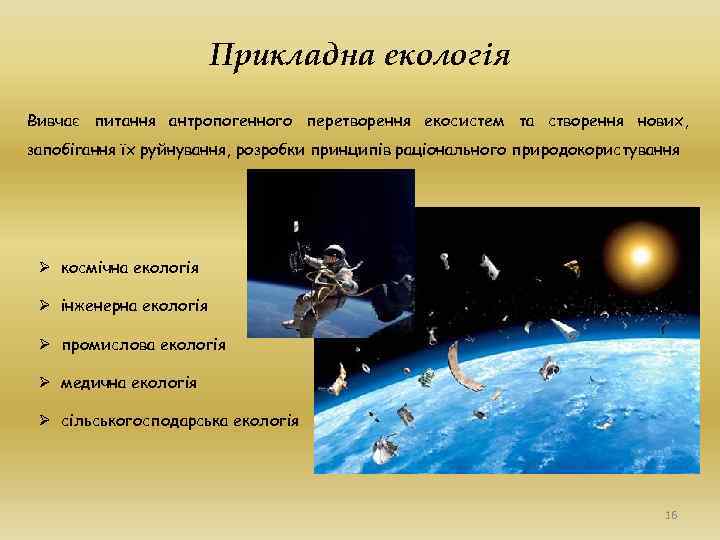 Прикладна екологія Вивчає питання антропогенного перетворення екосистем та створення нових, запобігання їх руйнування, розробки