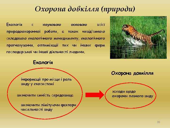 Охорона довкілля (природи) Екологія є природоохоронної науковою роботи, основою а також всієї невід’ємною складовою