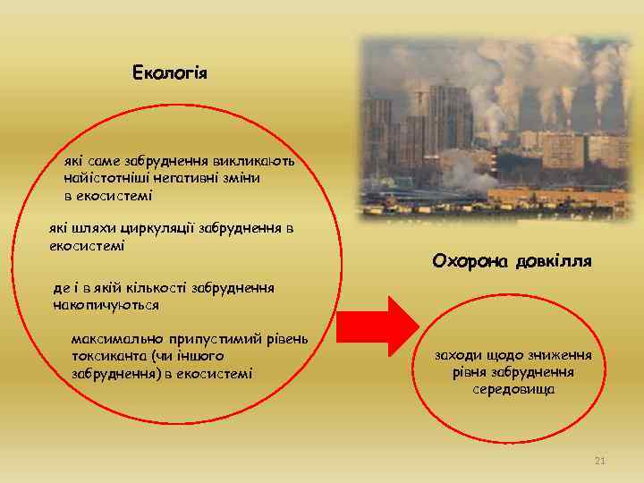 Екологія які саме забруднення викликають найістотніші негативні зміни в екосистемі які шляхи циркуляції забруднення