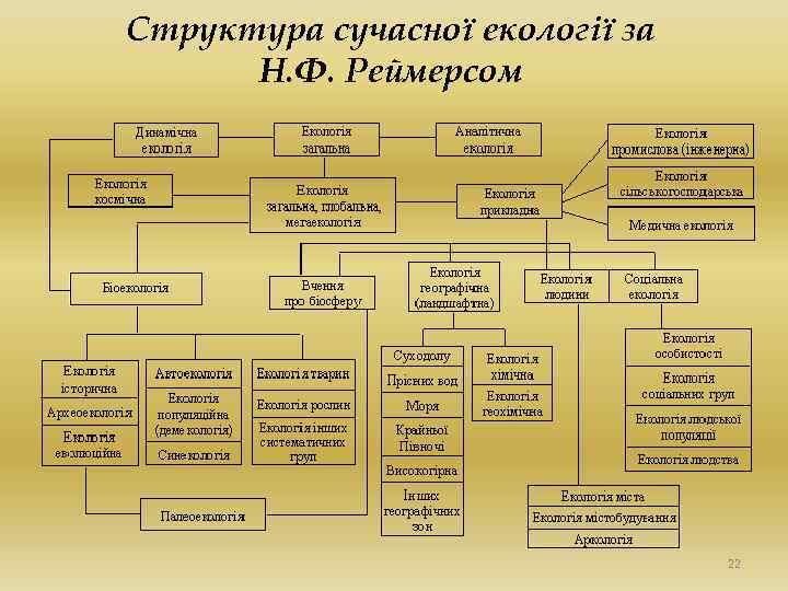 Структура сучасної екології за Н. Ф. Реймерсом 22 