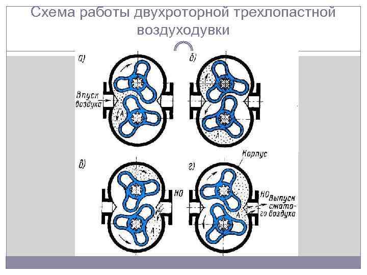 Схема работы двухроторной трехлопастной воздуходувки 