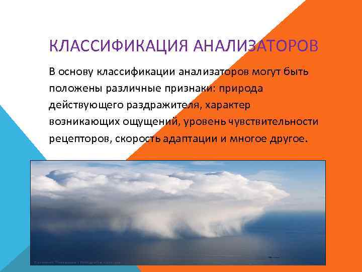 КЛАССИФИКАЦИЯ АНАЛИЗАТОРОВ В основу классификации анализаторов могут быть положены различные признаки: природа действующего раздражителя,