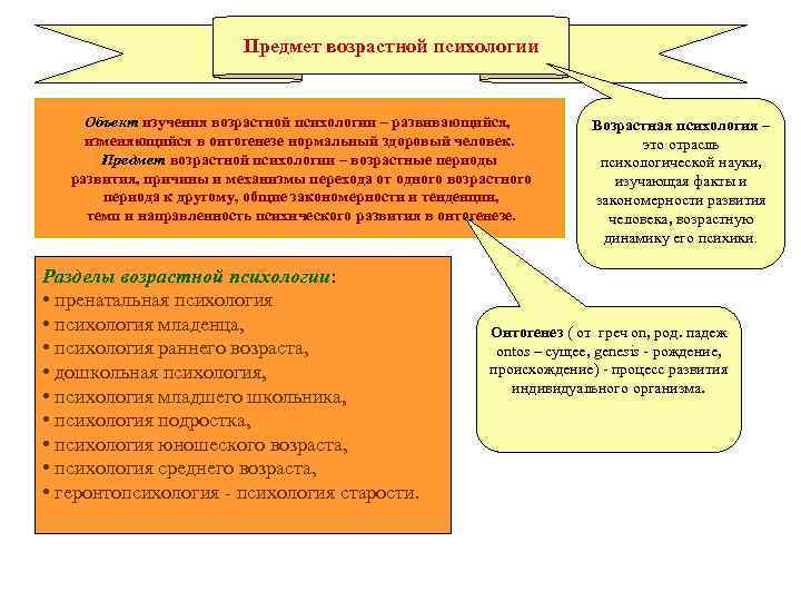 Предмет возрастной психологии Объект изучения возрастной психологии – развивающийся, изменяющийся в онтогенезе нормальный здоровый