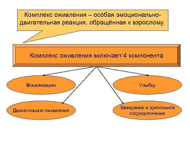 Комплекс оживления – особая эмоциональнодвигательная реакция, обращённая к взрослому. Комплекс оживления включает 4 компонента