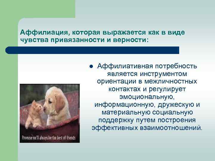 Аффилиация, которая выражается как в виде чувства привязанности и верности: Аффилиативная потребность является инструментом