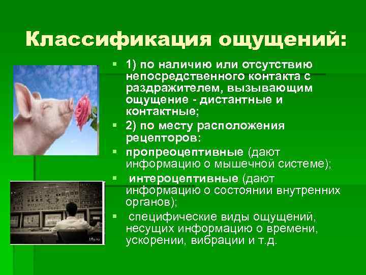 Классификация ощущений: § 1) по наличию или отсутствию непосредственного контакта с раздражителем, вызывающим ощущение