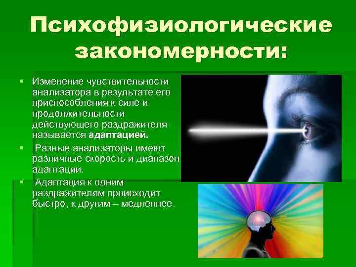 Психофизиологические закономерности: § Изменение чувствительности анализатора в результате его приспособления к силе и продолжительности