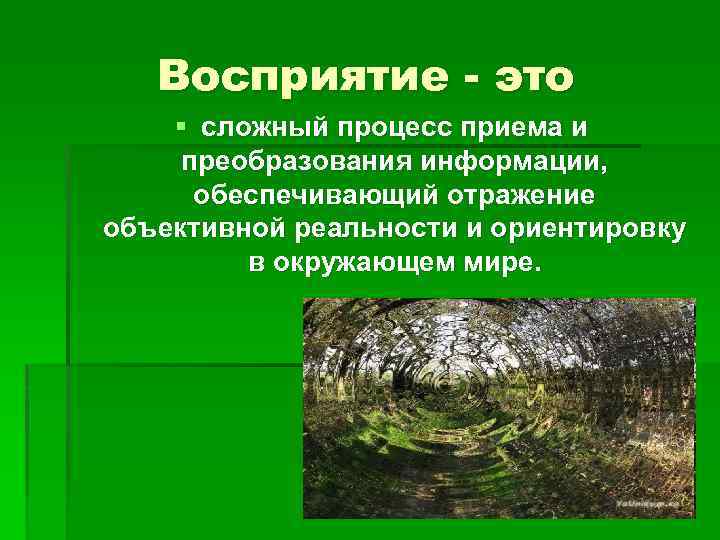 Восприятие - это § сложный процесс приема и преобразования информации, обеспечивающий отражение объективной реальности