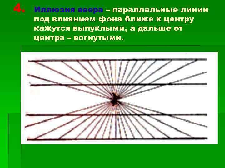 4. Иллюзия веера – параллельные линии под влиянием фона ближе к центру кажутся выпуклыми,