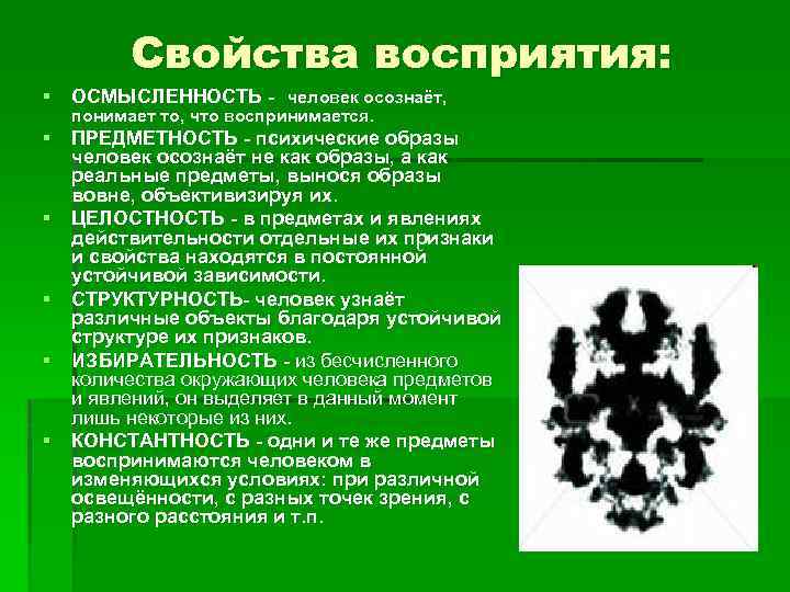 Свойства восприятия: § ОСМЫСЛЕННОСТЬ - человек осознаёт, понимает то, что воспринимается. § ПРЕДМЕТНОСТЬ -