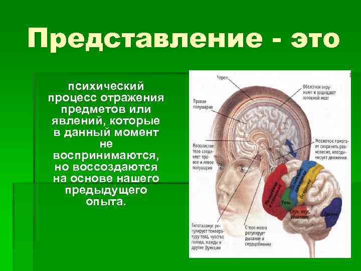 Представление - это психический процесс отражения предметов или явлений, которые в данный момент не