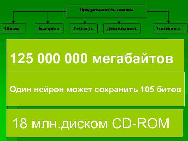 125 000 мегабайтов Один нейрон может сохранить 105 битов 18 млн. диском CD-ROM 