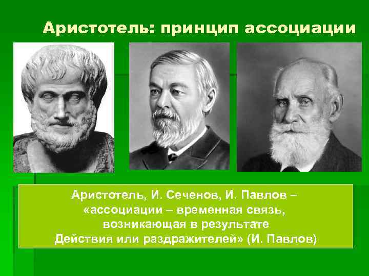 Аристотель: принцип ассоциации Аристотель, И. Сеченов, И. Павлов – «ассоциации – временная связь, возникающая