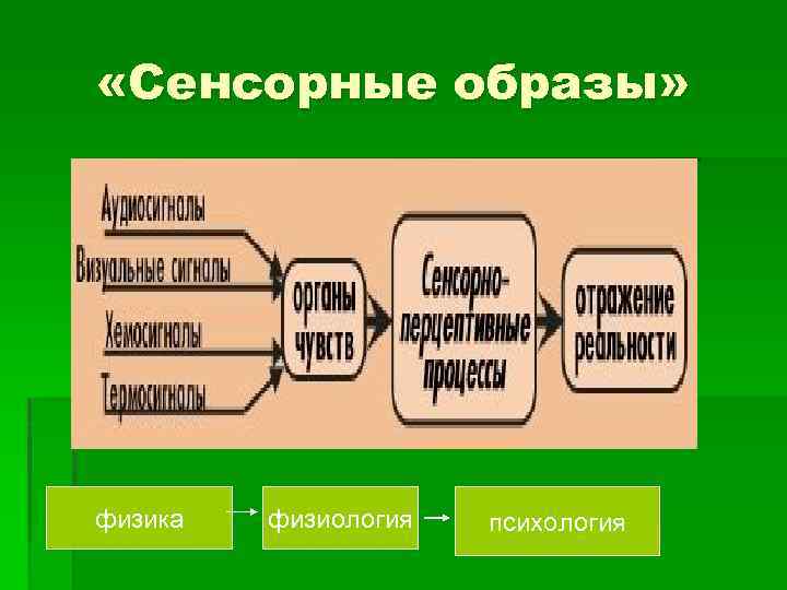  «Сенсорные образы» физика физиология психология 