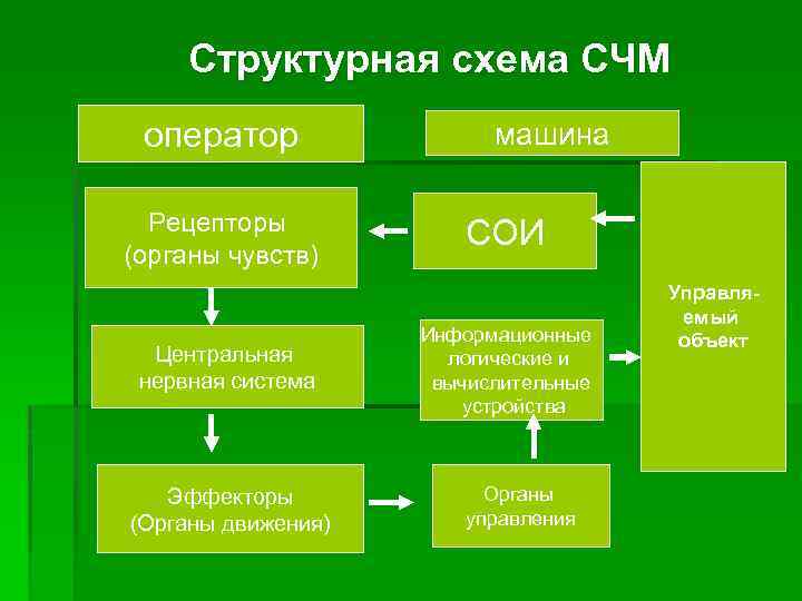 Структурная схема СЧМ оператор Рецепторы (органы чувств) Центральная нервная система Эффекторы (Органы движения) машина