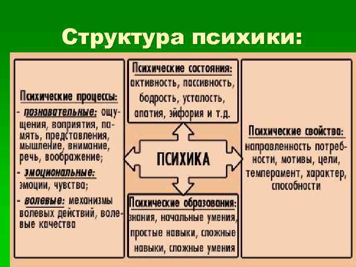 Структура психики: 