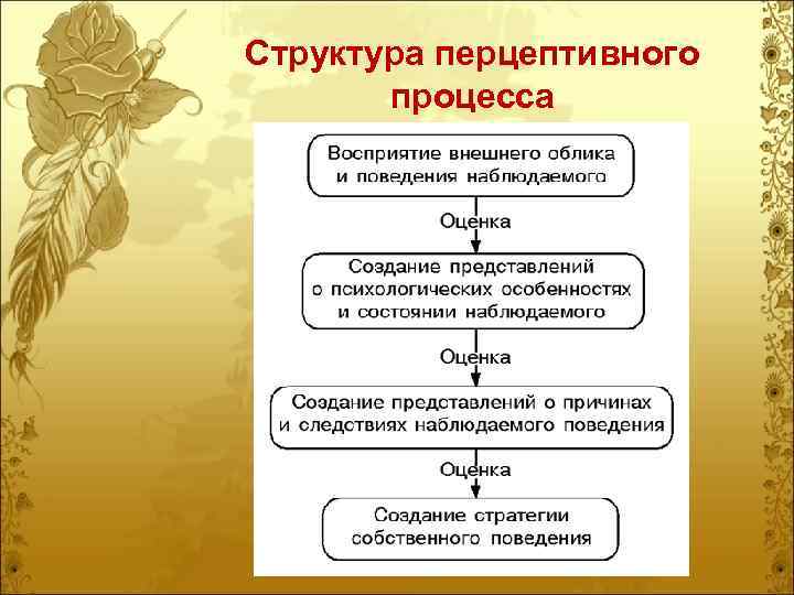 Структура перцептивного процесса 