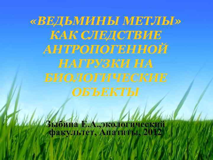  «ВЕДЬМИНЫ МЕТЛЫ» КАК СЛЕДСТВИЕ АНТРОПОГЕННОЙ НАГРУЗКИ НА БИОЛОГИЧЕСКИЕ ОБЪЕКТЫ Зыбина Е. А. ,