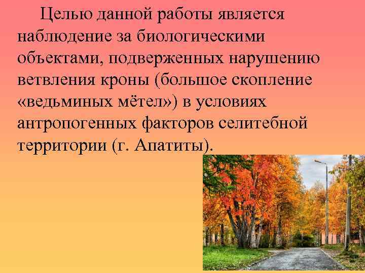 Целью данной работы является наблюдение за биологическими объектами, подверженных нарушению ветвления кроны (большое скопление