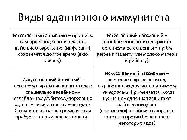 Что такое адаптивное изображение