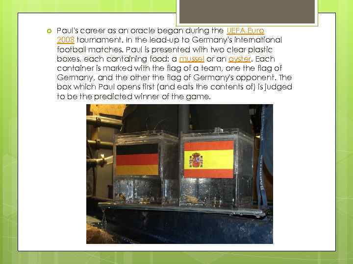  Paul's career as an oracle began during the UEFA Euro 2008 tournament. In