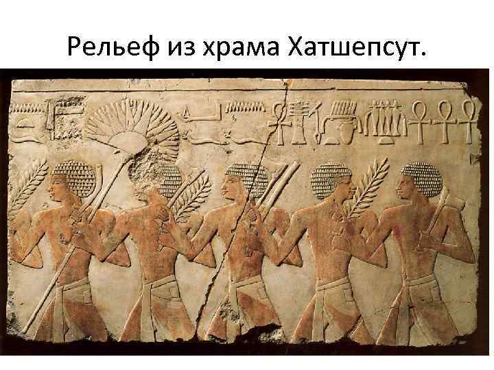 Рельеф из храма Хатшепсут. 