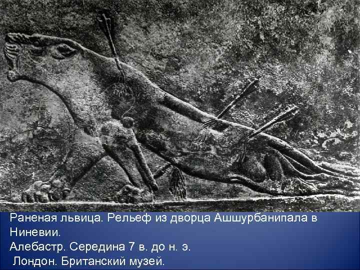 Раненая львица. Рельеф из дворца Ашшурбанипала в Ниневии. Алебастр. Середина 7 в. до н.