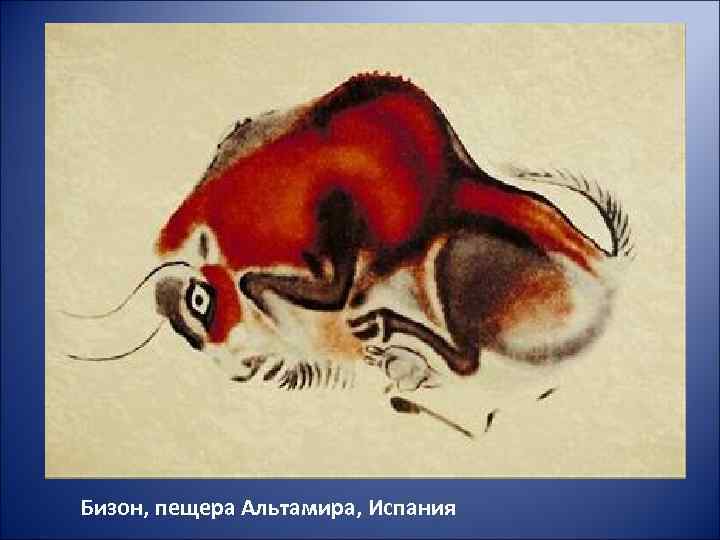 Бизон, пещера Альтамира, Испания 