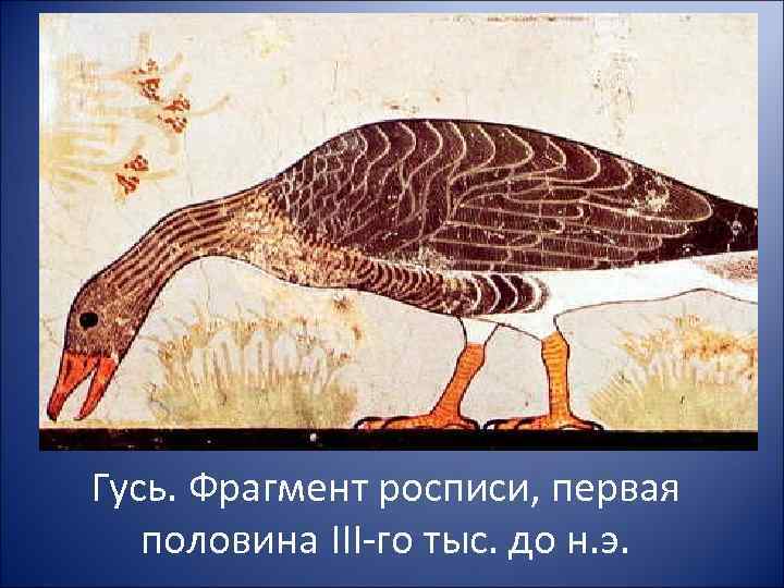 Гусь. Фрагмент росписи, первая половина III-го тыс. до н. э. 