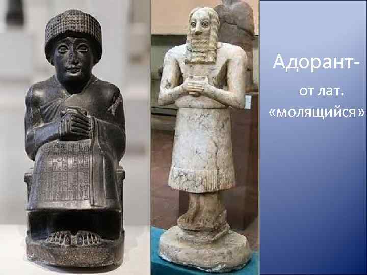 Адорантот лат. «молящийся» 