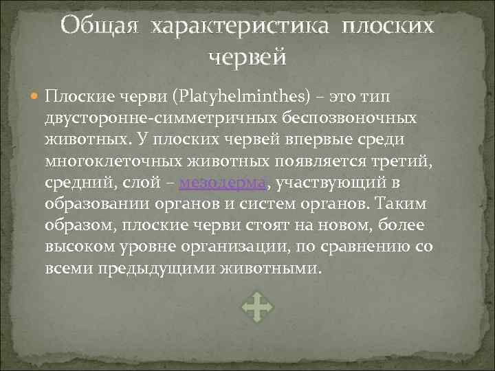 Общая характеристика плоских червей Плоские черви (Platyhelminthes) – это тип двусторонне-симметричных беспозвоночных животных. У