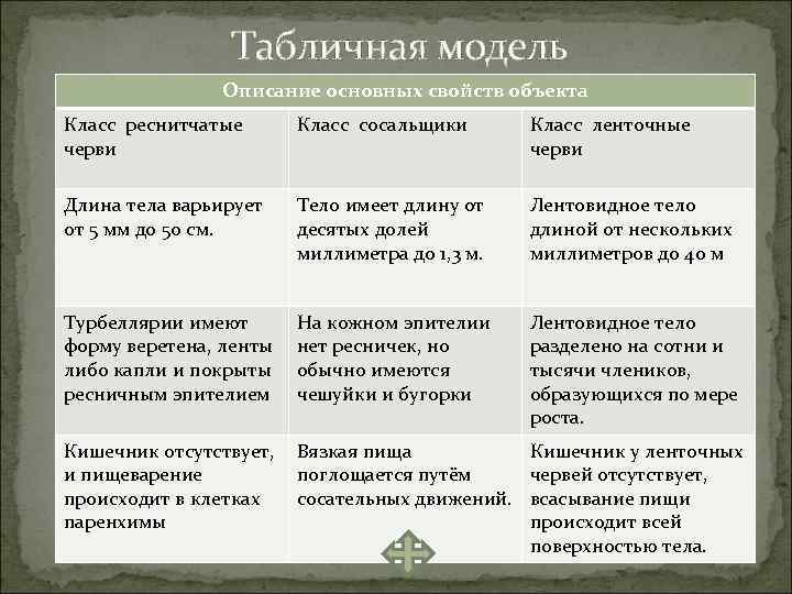 Табличная модель Описание основных свойств объекта Класс реснитчатые черви Класс сосальщики Класс ленточные черви