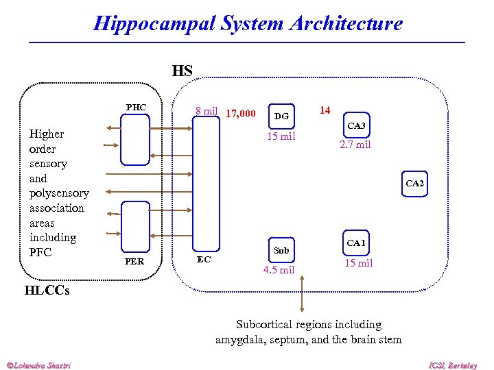 Hippocampal System Architecture HS PHC Higher order sensory and polysensory association areas including PFC