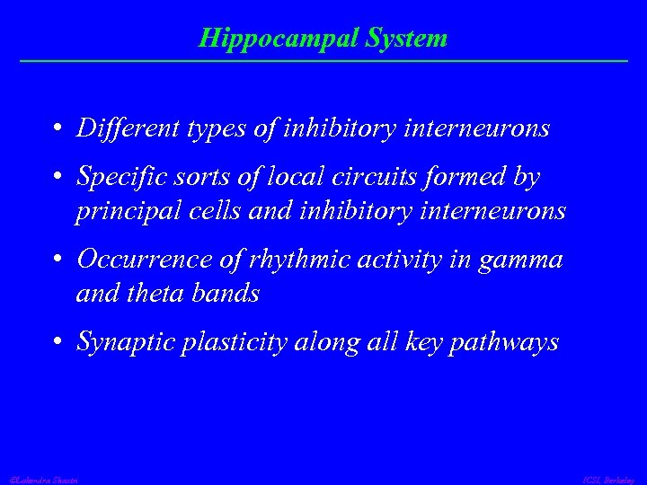Hippocampal System • Different types of inhibitory interneurons • Specific sorts of local circuits