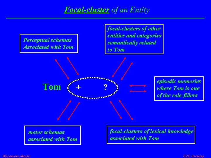 Focal-cluster of an Entity Perceptual schemas Associated with Tom + ? motor schemas associated