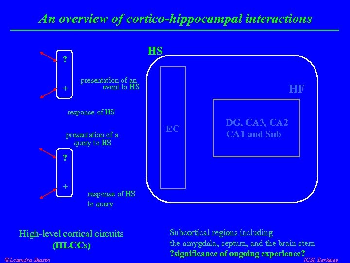 An overview of cortico-hippocampal interactions HS ? + presentation of an event to HS