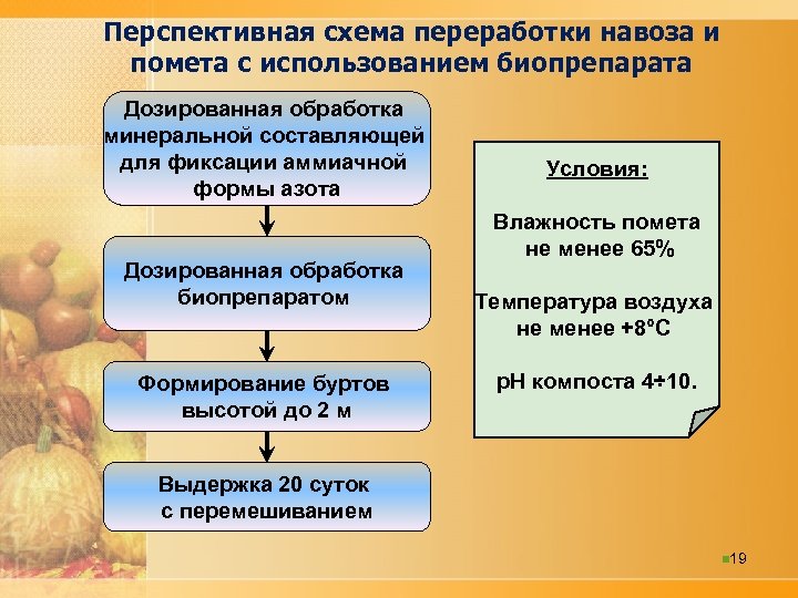 Перспективная схема переработки навоза и помета с использованием биопрепарата Дозированная обработка минеральной составляющей для