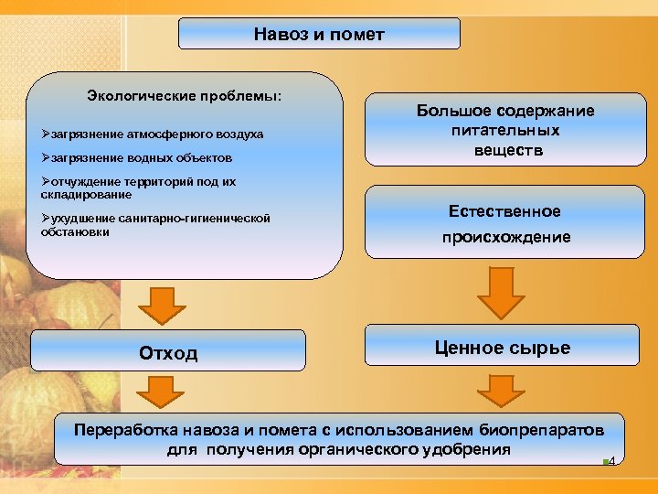 Навоз и помет Экологические проблемы: Øзагрязнение атмосферного воздуха Øзагрязнение водных объектов Большое содержание питательных