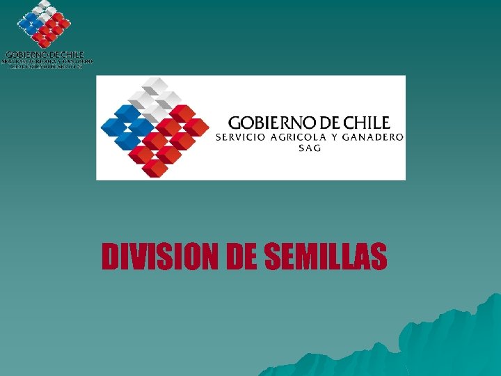 DIVISION DE SEMILLAS 