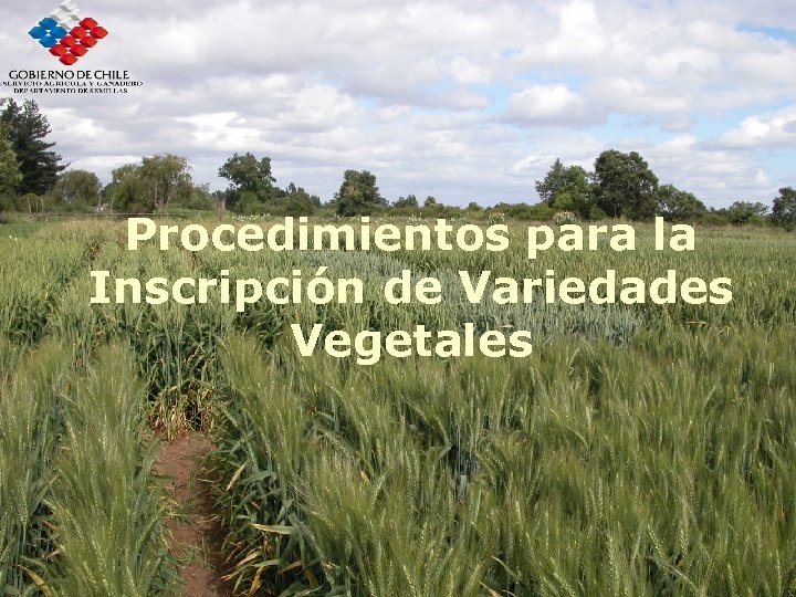 Procedimientos para la Inscripción de Variedades Vegetales 