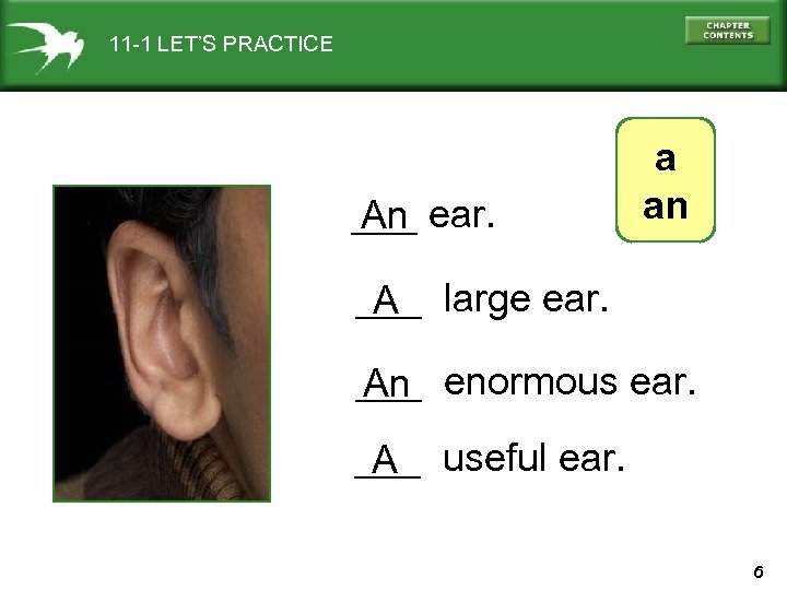 11 -1 LET’S PRACTICE ___ ear. An a an ___ large ear. A ___