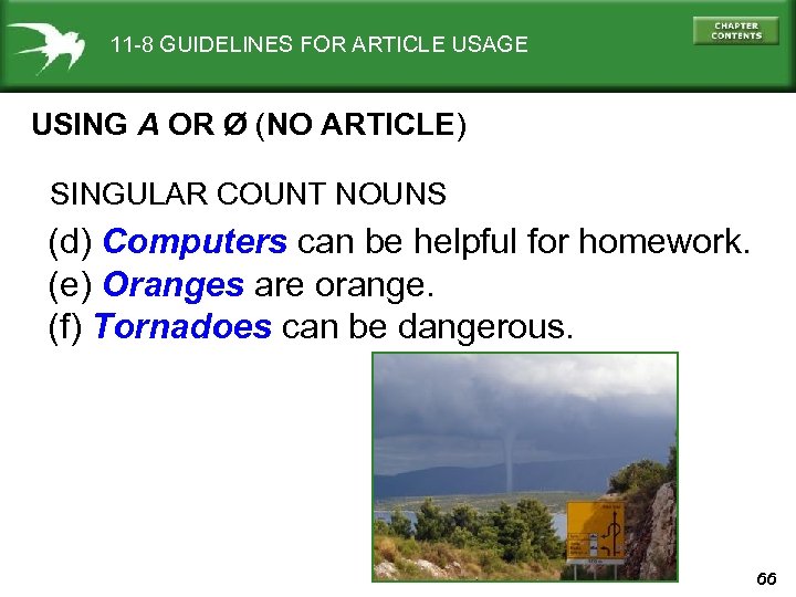 11 -8 GUIDELINES FOR ARTICLE USAGE USING A OR Ø (NO ARTICLE) SINGULAR COUNT